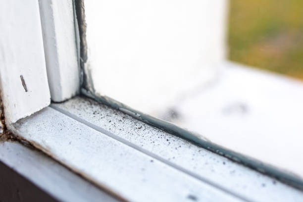 Best Mold Prevention Services  in Rose Hills, CA